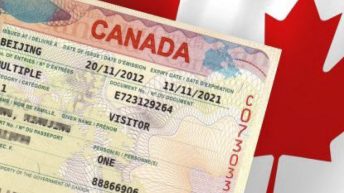 Important Information On How To Get Canada Visa