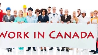 Work in Canada: Here Is All You Need To Know About Canada Jobs